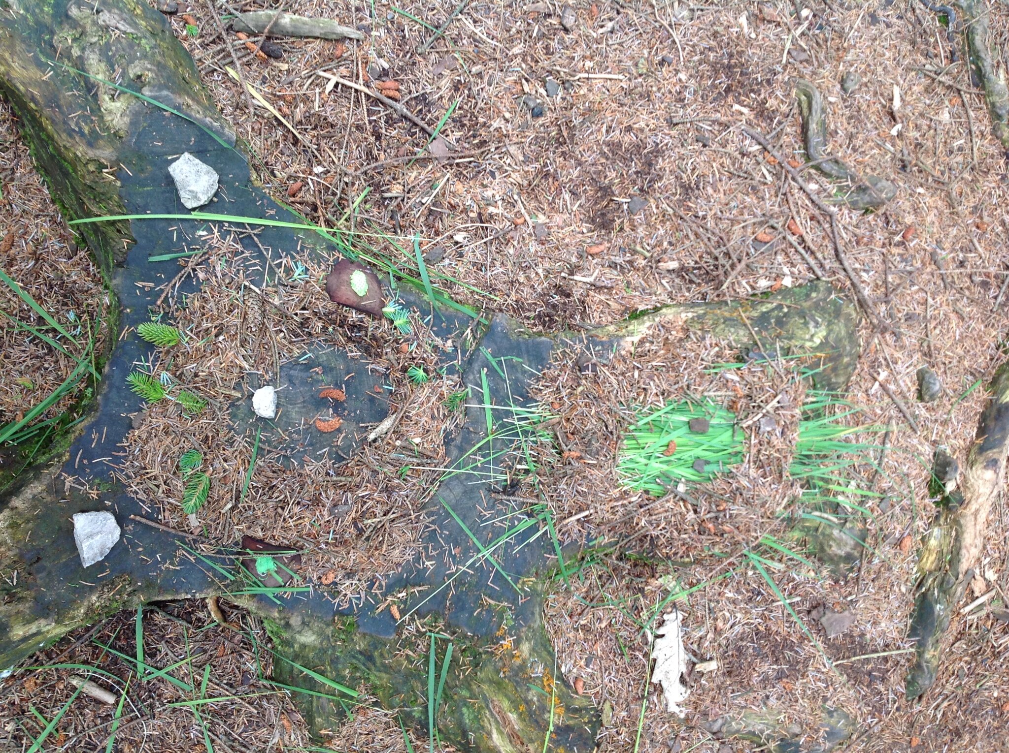 Image of Year 3 Trip to Beacon Fell